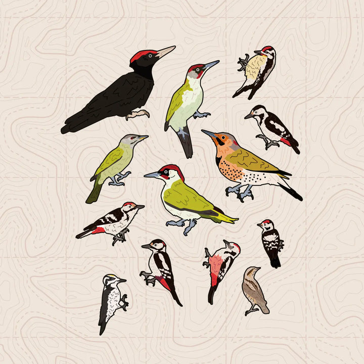 Woodpecker of Europe - Sticker Pack